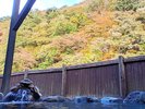 露天風呂からの眺め