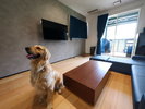 【コテージ】大型犬は1頭まで一緒に宿泊できます