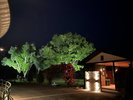 【夏】ライトアップされたサウナ棟は幻想的です
