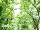 【夏】施設周辺でを散策してリフレッシュしてはいかがでしょうか・・・