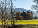 【秋】田んぼの黄金色と紅葉の山々