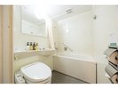 DX�t���A�����@