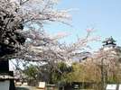 掛川城3(徒歩10分)