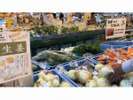 道の駅掛川2・地場産品販売(車8分)