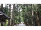 小國神社4(遠州森町)