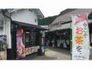 小國神社6(遠州森町)