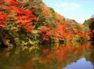 関東でいちばん遅い紅葉。紅葉クルージングも(期間限定)