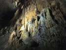 天然記念物　秋芳洞　有名なのは秋芳洞ですが、大正洞と景清洞もお忘れなく！