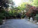 亀山公園　サビエル記念聖堂は、ここ亀山公園内です。つつじをはじめ1,000株がお出迎えしてくれます。