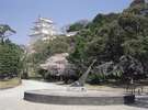 桜(明石公園) 提供:明石観光協会 http://www.yokoso-akashi.jp