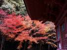 紅葉名所の「太山寺(たいさんじ)」です♪