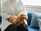 Dog Friendly Room:愛犬と一緒に地域を巡る旅を。
