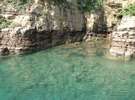 海の底の『うに』が見えます!!辰の島の美しい海