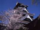 熊本城 桜の季節