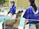宮島水族館 JR・フェリーで約50分