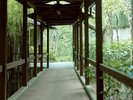 【大浴場】流風-Ryufu- 季節の風がそっと吹き抜ける、渡り廊下。