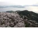 積善山からの風景