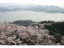 積善山からの風景