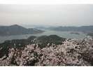 積善山からの風景