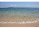 『TUBA島』無人島で過ごす夏休み♪