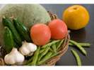 よし正では、島で獲れた新鮮野菜を使用しています♪