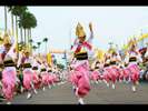 阿波踊り2017