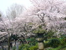上野恩賜公園