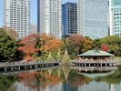 浜離宮恩賜庭園
