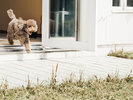 �y/Withdogs�z���������ƈꏏ�ɉ��K�ɉ߂�����悤�݌v���ꂽ�������ł��B