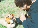 �y�^With Dogs�E�h�b�O�����z�U���R�[�X���y���񂾌�̓h�b�O�����G���A�ň����ƗV�ڂ��I