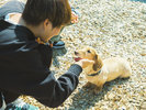�y�^With Dogs�z�h�b�O�����ɂ̓��������̑�������ɂ����؃`�b�v���̗p���Ă��܂�