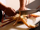 【冬の献立一例】活蟹