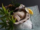 【旬のひと品|夏一例】日本海が育んだ、濃厚な夏の一雫。『岩ガキ』