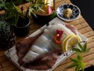 【活〆白イカ】甘くてまろやかな初夏の恵み