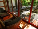 【廊下】新緑の青梅が、中庭を鮮やかに彩る初夏