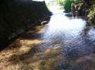 湧水より金鱗湖へ流れる小川*とても澄んでいて足をつけると ひんやり!