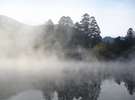 12月の朝霧漂う金鱗湖