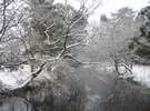 雪景色の金鱗湖