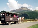 のんびり辻馬車で