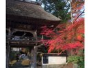 佛山寺(宿から徒歩5分)の紅葉は見事です!