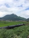 夏の風景