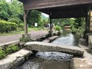 下ん湯・金鱗湖につながる温泉が流れる小川です。小さいお子様の水遊びに最高!