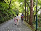 鶴仙渓遊歩道