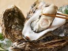 ここでしか会えない本場の味牡蠣料理を広島で。※イメージ