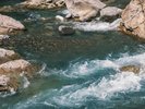 �����ŗL���ȑ�삪��ފ󏭂ȓ����x�̐�