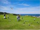 ◆種差天然芝生地からの眺めは海の青さと一面に広がる芝の緑が織りなす絶景!
