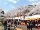 ◆八戸公園〜桜の季節〜