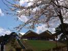 ◆八戸公園〜桜の季節〜