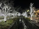 期間限定で石和温泉通りがイルミネーションで幻想的にライトアップされます!