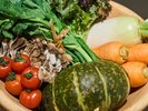 ◇イメージ野菜※夕食は期間限定開催※